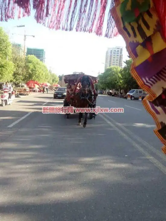 伊犁那拉提芳香之旅(二)