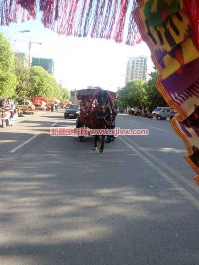 伊犁那拉提芳香之旅（二）,图三