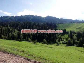 伊犁那拉提芳香之旅（二）,图二十六