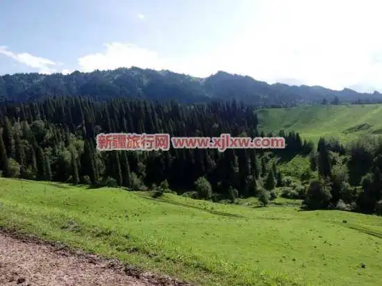 伊犁那拉提芳香之旅(二)