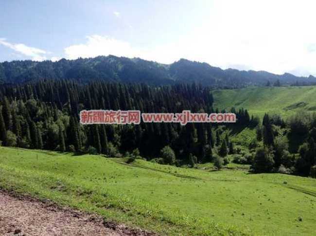 伊犁那拉提芳香之旅（二）,图二十六