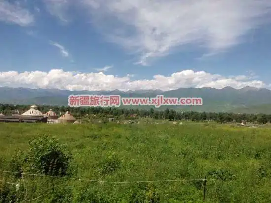 伊犁那拉提芳香之旅(二)