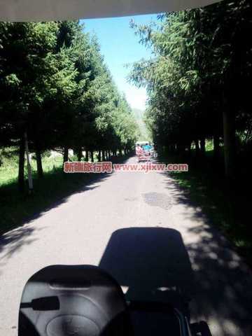 伊犁那拉提芳香之旅（二）,图三十