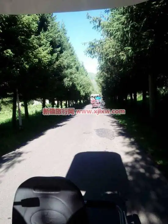 伊犁那拉提芳香之旅(二)