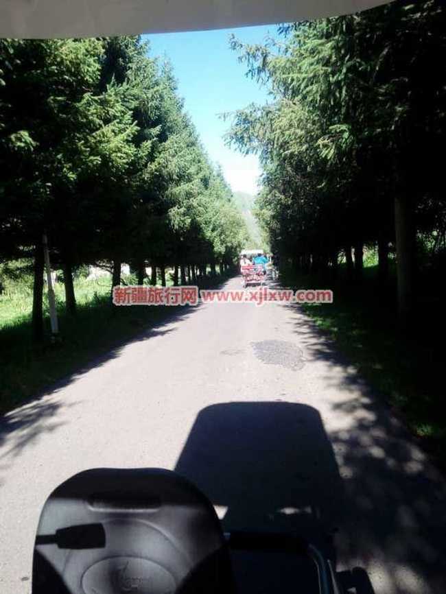 伊犁那拉提芳香之旅（二）,图三十