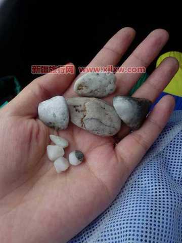 伊犁那拉提芳香之旅（一）,图七