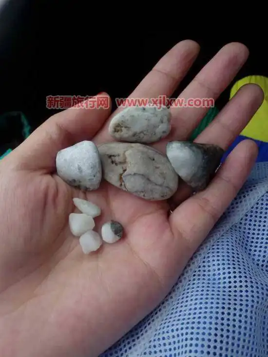 伊犁那拉提芳香之旅（一）