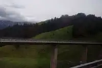 伊犁那拉提芳香之旅（一）