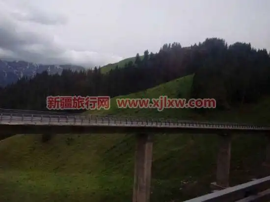 伊犁那拉提芳香之旅（一）