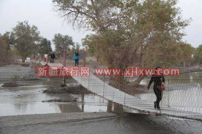 金秋十月南疆之旅（一）,图十一