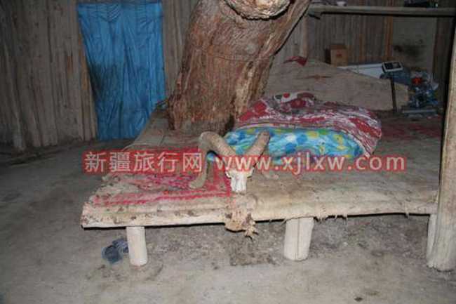 金秋十月南疆之旅（一）,图七