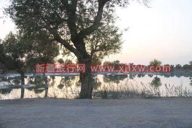 金秋十月南疆之旅（一）,图四