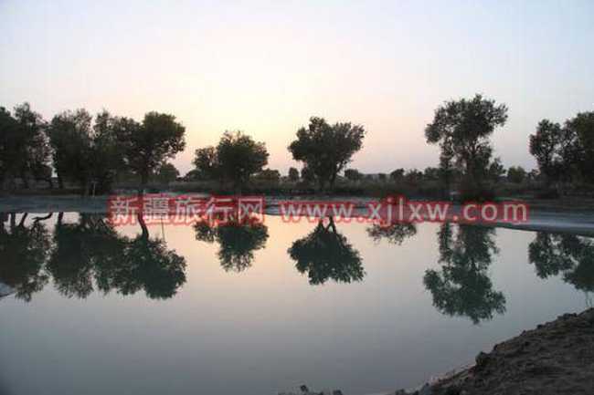 金秋十月南疆之旅（一）,图十