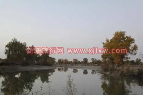 金秋十月南疆之旅（一）