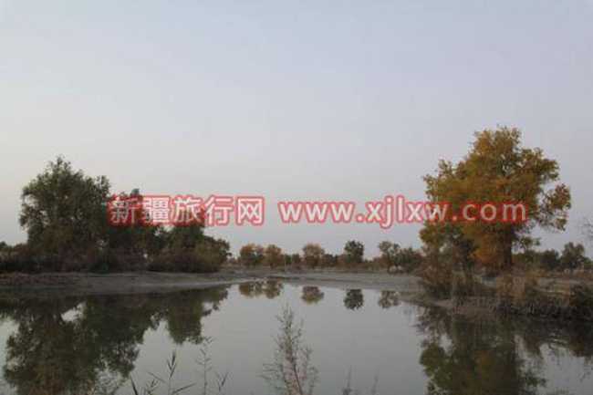 金秋十月南疆之旅（一）,图三