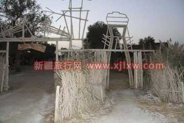 金秋十月南疆之旅(一),图八