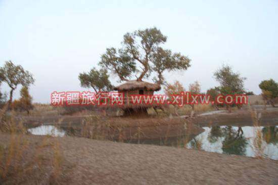 金秋十月南疆之旅（一）,图五