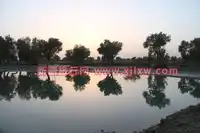 金秋十月南疆之旅（一）