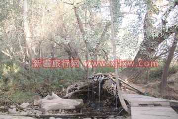 金秋十月南疆之旅(三),图七