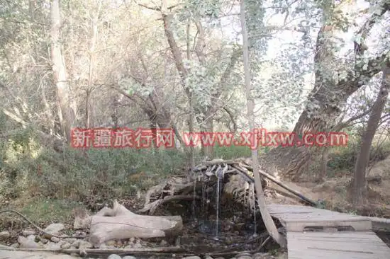 金秋十月南疆之旅(三)