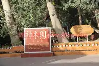  金秋十月南疆之旅（三）