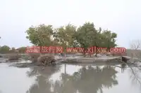 南疆环线考察之旅1