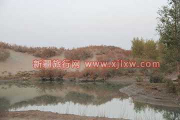 南疆环线考察之旅1,图五