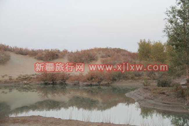 南疆环线考察之旅1,图五