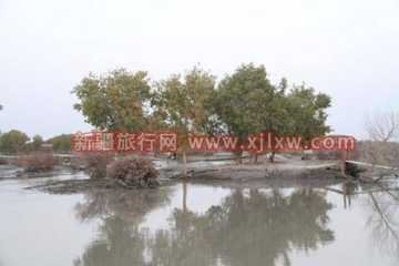 南疆环线考察之旅1,图六