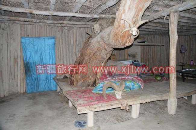 南疆环线考察之旅1,图八