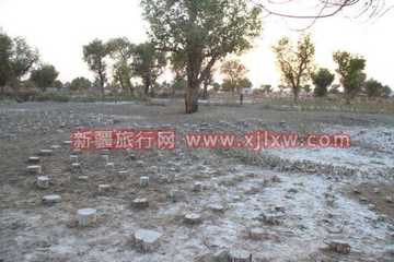 南疆环线考察之旅1,图四