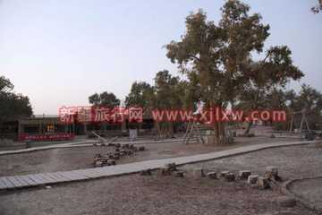 南疆环线考察之旅1,图十一