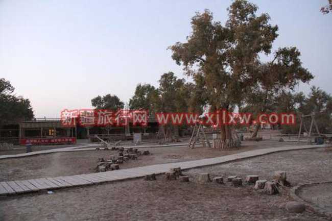 南疆环线考察之旅1,图十一