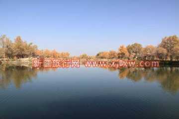 金秋十月南疆之旅(六),图五