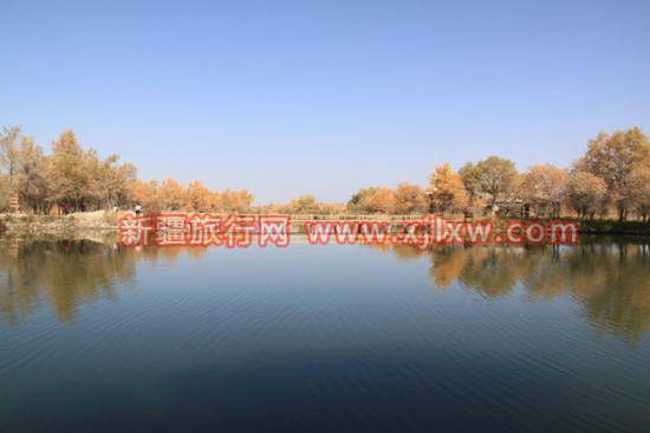 金秋十月南疆之旅（六）,图五