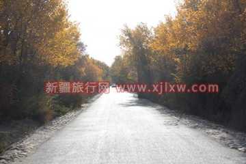 南疆环线考察之旅6,图六