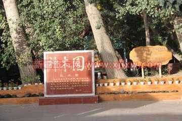 南疆环线考察之旅3,图一