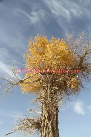 南疆环线考察之旅9