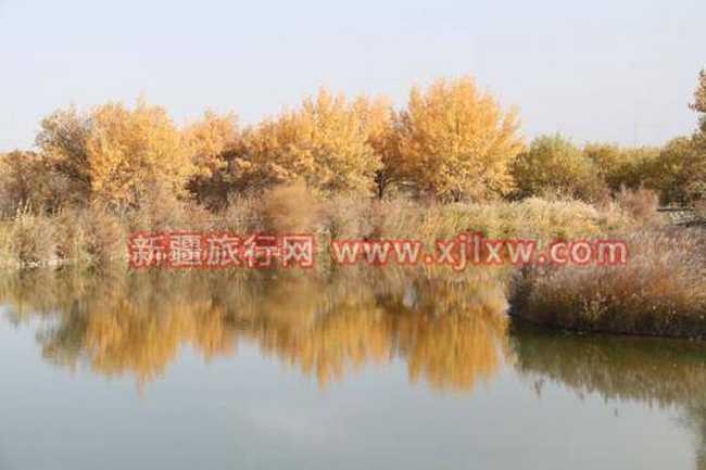 南疆环线考察之旅6,图九