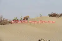 金秋十月南疆之旅（九）