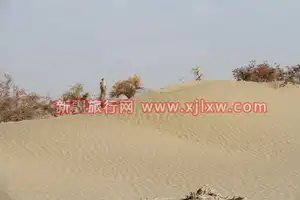 金秋十月南疆之旅（九）