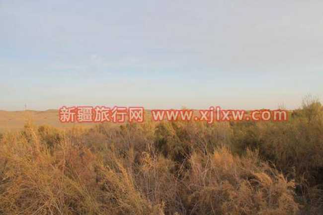 南疆环线考察之旅9,图一