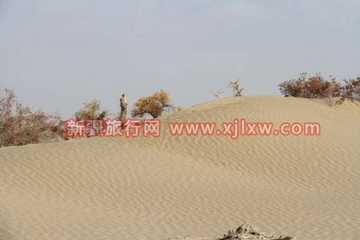 金秋十月南疆之旅(九),图二