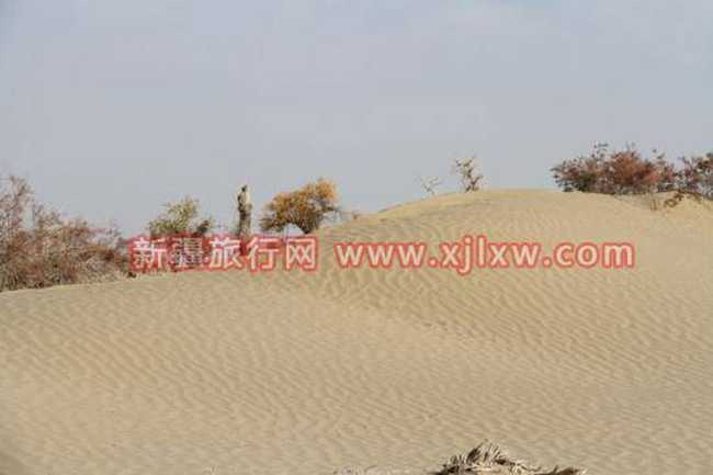 金秋十月南疆之旅（九）,图二