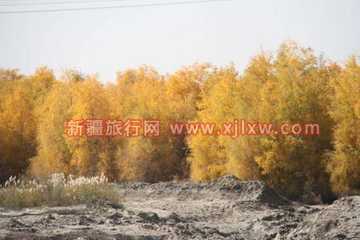 金秋十月南疆之旅(九),图九