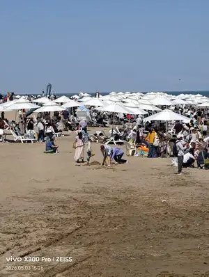 第五天轮台到博斯腾湖大河口景区