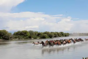 8月31日 伊犁昭苏·夏塔古道旅行日记