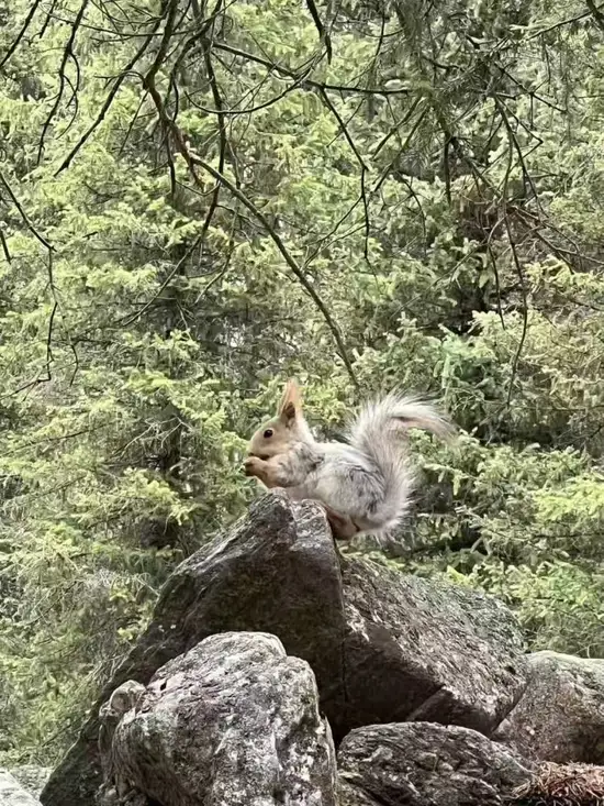 9月1日 库尔德宁自然保护区旅行日记