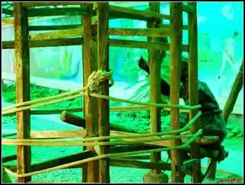 入地探井风景独好坎儿井与风车,图四