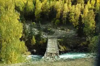 带你进入多彩的喀纳斯,图四